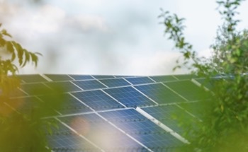Using Polyaniline as a Substitute Material in Perovskite Solar Cells