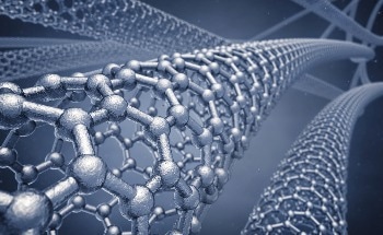 A Simple Way to Turn Fish Waste into Extremely High-Quality Carbon Nano-Onions