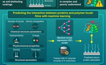 Using Machine Learning to Understand Film Properties that Affect Protein Adsorption