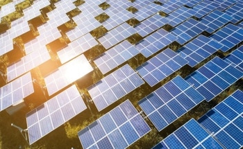 Sustainable Peptide Materials for Use in the Field of Dye-Sensitized Solar Cells
