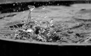 Presenting Discussions About Atmospheric Water Harvesting