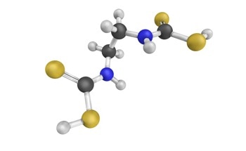 1D Coordination Polymers Based on N-donor Ligands