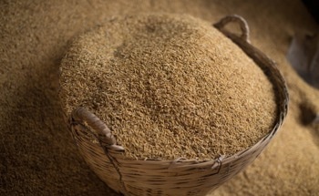 What are the Properties and Benefits of Magnesium Oxychloride Cement with Rice Husks?