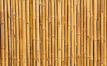 How to Create Optically Transparent Bamboo