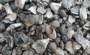 Producing Biodiesel from Palm Kernel Shells