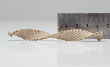 Flat Wooden Shapes Programmed to Self-Morph into Complex 3D Shapes