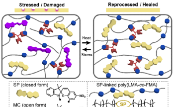 Skin-Like Polymeric Coatings as a Defense Against the External Environment