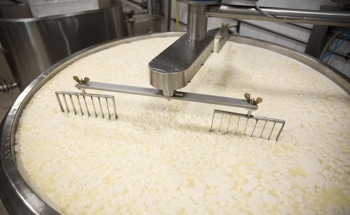 Harnessing Whey to Produce Effective Environment-Friendly Adhesives