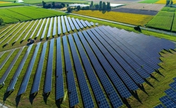 Improving the Efficiency of Quasi-2D Perovskite Solar Cells