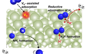 Mechanism of Ammonia Formation Revealed by a Chemical Looping Process