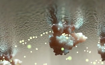 Using Decellularized Extracellular Matrix as a Biomaterial