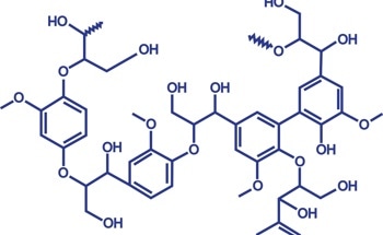 Using Lignin to Produce Polymeric Materials