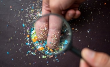 How Often do Plastic Constituents Find Their Way into Our Food?