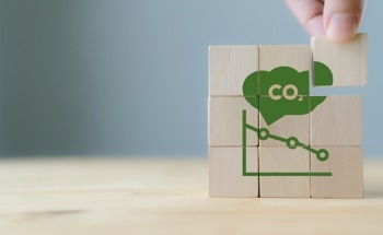 New Technique to Develop Electrocatalytic Transformation of Carbon Dioxide