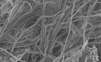 Properties and Hydrolysis of Different Cellulose Samples