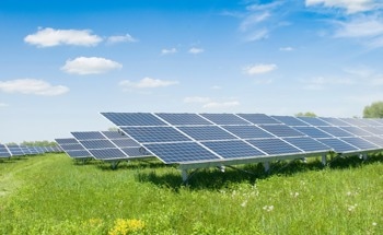 Halide Segregation in Solar Cells With a Universal Cage