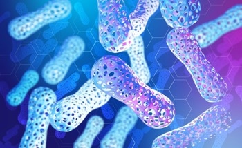 3D Bioprinting Capsules for Probiotic Bacteria