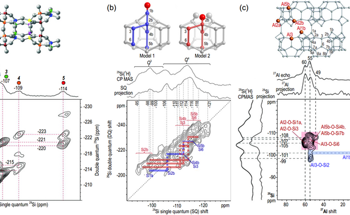 Developments on Zeolite Catalyst Solid-State NMR Studies