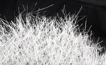 Scientists Present a Review of Polylactic Acid-Glass Fiber Composites