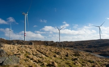 What Factors Influence Renewable Energy Adoption in EU Countries?