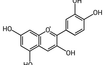 Using Anthocyanin Polymer Composites to Make Colorimetric Indicators