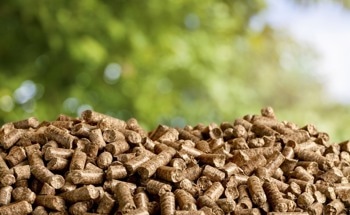 Waste Biomass-Derived Carbon Materials for Energy Storage