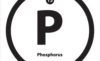How Can Black Phosphorus be Used for Electrocatalysis and Rechargeable Batteries?