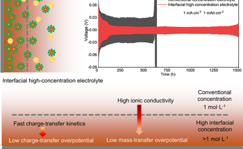 Novel Electrolyte Suppresses the Formation of Dendrites in Batteries