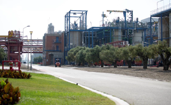 ELIX Polymers Will Cover 100% of Its Electricity Consumption From Renewable Sources