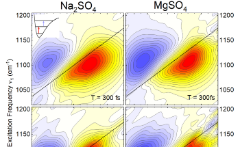 Dynamics of Aqueous Solutions in the Presence of Na+ and Mg2+ Ions