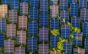 Using Y-Series-Based Acceptors in All-Polymer Solar Cells