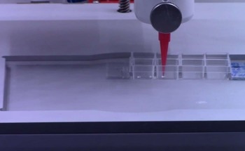 Novel Framework for 3D Bioprinting Plant Cells