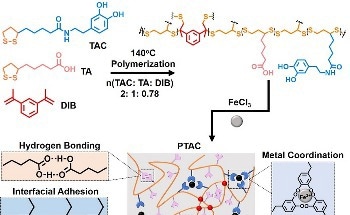 Mussels Serve as an Inspiration for Poly (Disulfides) Underwater Adhesives