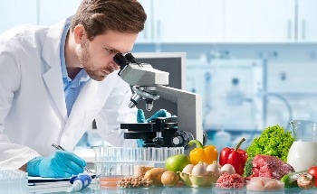 Development of Novel Cellulose-Based Fillers