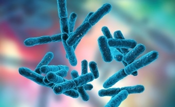 Using Bacteria to Improve Mortar