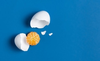 Using Orange Peels and Egg Shells as Biosorbents for Acidic Wastewater