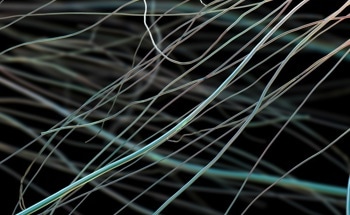 Enhancing the Piezoelectricity of Electrospun Polymer Nanofibers for Wearable Electronics