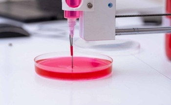 Better Control When 3D Bioprinting Vascularized Constructs