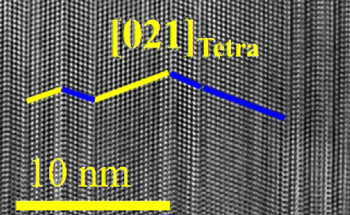 Opening up New Views in the Development of Safe Thermoelectric Materials