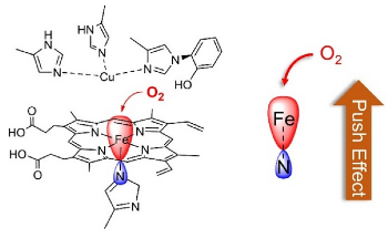 New Process Outlines Efficient Oxygen Reduction and Evolution Electrocatalysis