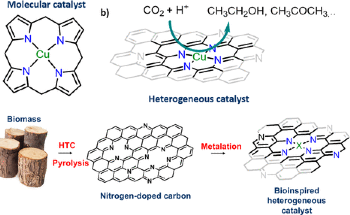 The Future of Nature-Inspired Electrocatalysis