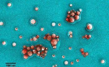 Research Shows How Molecules Containing Free Radicals Could be Used in New Class of Reactions