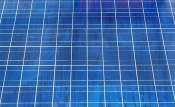Perovskite/Polymer Multi-Mode Interactions Revealed