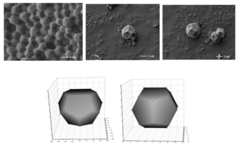 First-Ever Construction of Polymeric Weaire–Phelan Structures