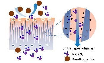 Scalable Strategy to Develop a Mix-Charged NF Membrane