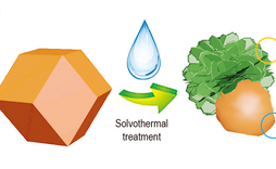 MOF-Templated Strategy for the Synthesis of Janus Carbon Materials