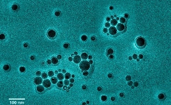 Researchers Design a Safe and Efficient Nanotorpedo for Drug Delivery