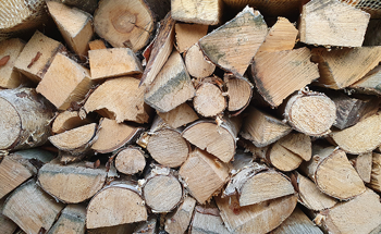 Cell Wall Nanoengineering-Based Efficient Wood Power Generators