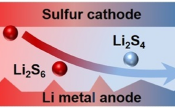 Understanding the Thermal Behaviors of Lithium-Sulfur Batteries