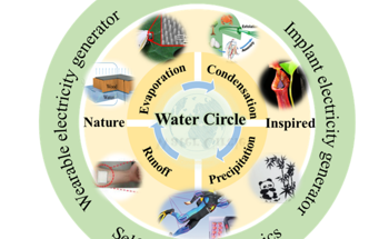 Reviewing TMDs in Biosensing Applications